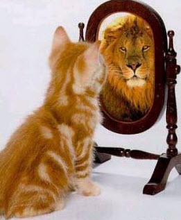 Mirror, mirror on the wall...